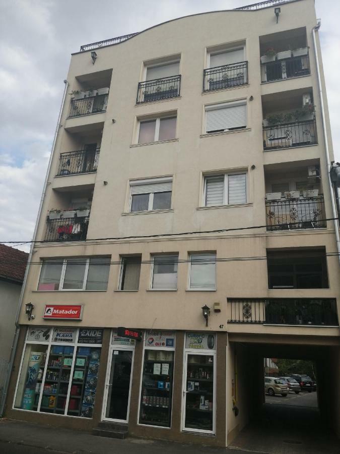 New And Nice Apartments Kragujevac Esterno foto
